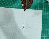 A picture of step 3 of Chocolate leaves.