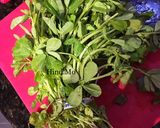 A picture of step 5 of How to Cook Purslane (Baqleh).