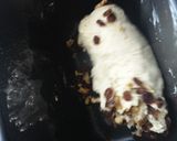 Foto del paso 3 de la receta: Pan de soda irlandés