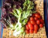 Hình bước làm 1 của món Salad trộn