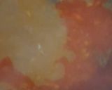 A picture of step 2 of Beef Nihari.