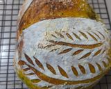 Foto langkah ke 6 dari resep Tumeric Country Loaf Sourdough.
