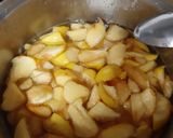 Foto del paso 3 de la receta: Membrillo casero