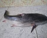 Foto del paso 1 de la receta: Pescado a la parrilla 🐟🔥