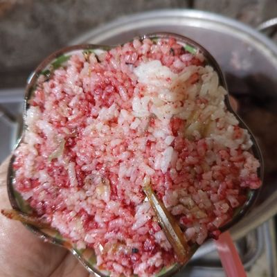 Langkah 12