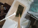 Nori Crispy