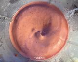 Foto langkah ke 2 dari resep Banana Strawberry Smoothies.
