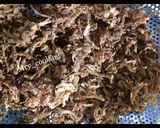 عکس مرحله 2 از دستور چای به
