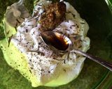 Foto del paso 4 de la receta: Lasaña fría de salmón y atún