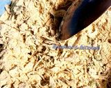 A picture of step 2 of Methi gota.