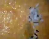 A picture of step 6 of Gajrela.