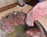 Φωτογραφία βήματος 12 της συνταγής Γεμιστές σαρδέλες “αμπελοπούλλιν”