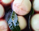 Foto del paso 2 de la receta: Cebollas en escabeche