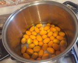 Foto del paso 2 de la receta: Quinotos en almíbar fácil y delicioso!