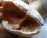 Foto del paso 8 de la receta: Pan Pita o Pan Árabe con harina integral