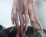 Foto del paso 2 de la receta: 🦑Pulpo a la plancha