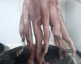 Foto del paso 2 de la receta: 🦑Pulpo a la plancha