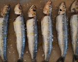 A picture of step 1 of 🐟 Grilled Sardine, the simplest.