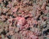 A picture of step 5 of Meaty cauliflower casserole.