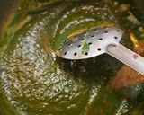 A picture of step 4 of Palak paneer.