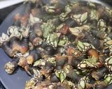 A picture of step 2 of Goose barnacles - Percebe.