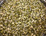 A picture of step 8 of Sprouted Green Gram (Moong) Curry.