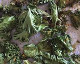 Foto del paso 4 de la receta: Chips de Kale