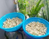 Hình bước làm 2 của món CỦ KIỆU ngâm chua ngọt ăn Tết