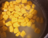 Foto del paso 7 de la receta: 🥣Ñoquis de Zapallo y Papa🥣
