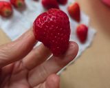 Foto del paso 1 de la receta: Chocolatín helado con frutillas 🍓 veggie y keto 🥥 3 ingredientes plant based 🌱