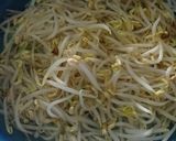 Foto langkah ke 1 dari resep Rujak Bakso Khas Banyuwangi.