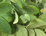 முருங்கைகீரைமுட்டை பொடிமாஸ் ரெசிபி ஸ்டேப் 1 புகைப்படம்
