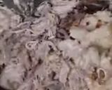 Foto del paso 5 de la receta: Patasca cruceña