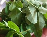 A picture of step 1 of Moringa leaf and pottato stuffed shahi paratha with moringa dip.