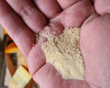 Foto del paso 2 de la receta: Crema de calabacita naranja