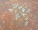 Foto del paso 5 de la receta: Tiburones con espárragos y almejas
