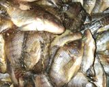 Foto langkah ke 1 dari resep 🐟Baby Mujaer Sayur Santan Pedas🐟.