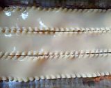 Foto del paso 4 de la receta: Lasaña de carne y salsa boloñesa