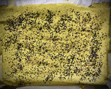 Foto del paso 3 de la receta: Pan de calabacín