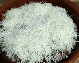 Foto del paso 6 de la receta: Pastel de carne