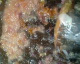 Foto langkah ke 1 dari resep 1041. Tumis Daging Kecap.