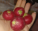 Foto del paso 1 de la receta: Fácil encurtido de Rabanitos