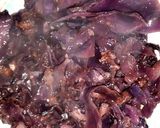 Foto del paso 3 de la receta: Col lombarda con jamón