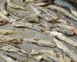 Foto del paso 1 de la receta Boquerones al horno