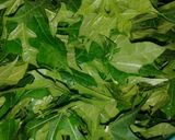 Foto langkah ke 1 dari resep Tumis daun pepaya + teri.