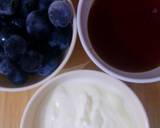Blueberry Frozen Yoghurt recipe step 1 photo