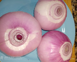 Foto del paso 3 de la receta: Calamarcitos en cebolla caramelizada y judías de Santa Pau