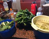 Foto del paso 1 de la receta: Masa de penca de acelga para pizza