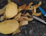 Foto del paso 6 de la receta: Crema de Puerros y Pera