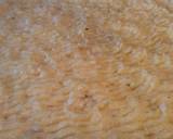 Meat and Potato Pie (Pastel de Papas) recipe step 32 photo